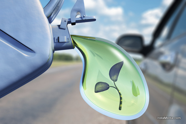 Самые странные способы изготовления биотоплива