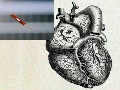Сердце может питать медицинские устройства