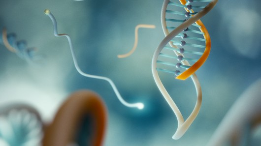 Зажимы ДНК останавливают развитие рака 