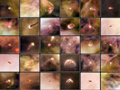 Рожденные в красоте: молодые планетарные системы в Туманности Ориона