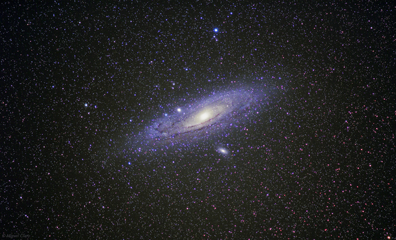 Удивительная галактика Андромеды от астронома-любителя (фото)
