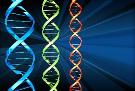 Наносенсоры, способные быстро определять возможные мутации ДНК