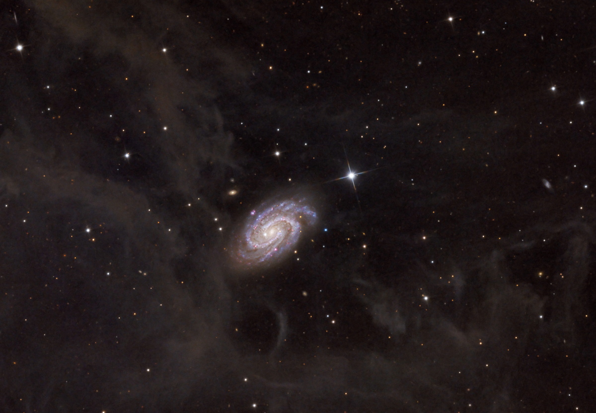 Вид на галактику NGC 918