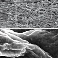 Батареи из нанотрубок… и бумаги
