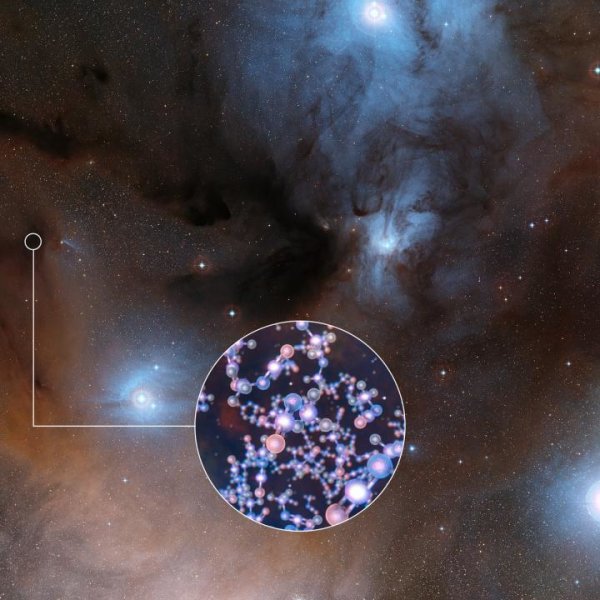 Молекула жизни найдена в протозвезде