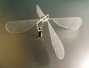 3D-принтер для создания миниатюрных крыльев