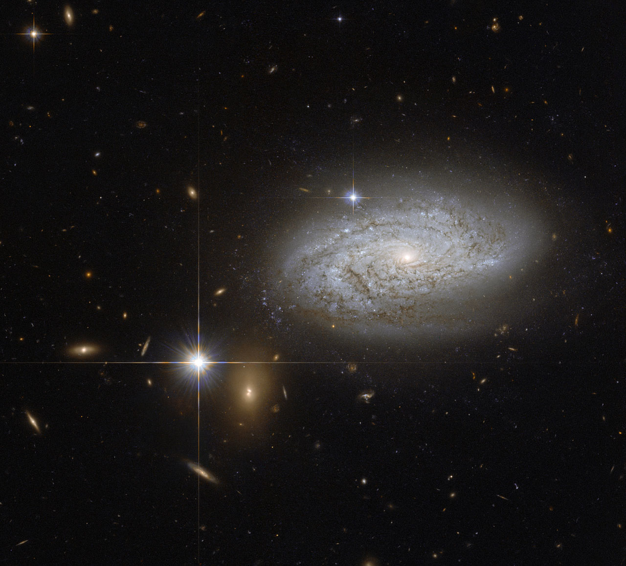 Хаббл запечатлел спиральную галактику NGC 3021