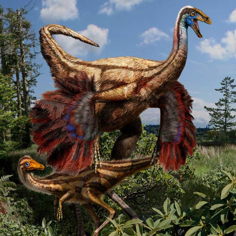 Исследователи объяснили, для чего нужны были крылья динозаврам