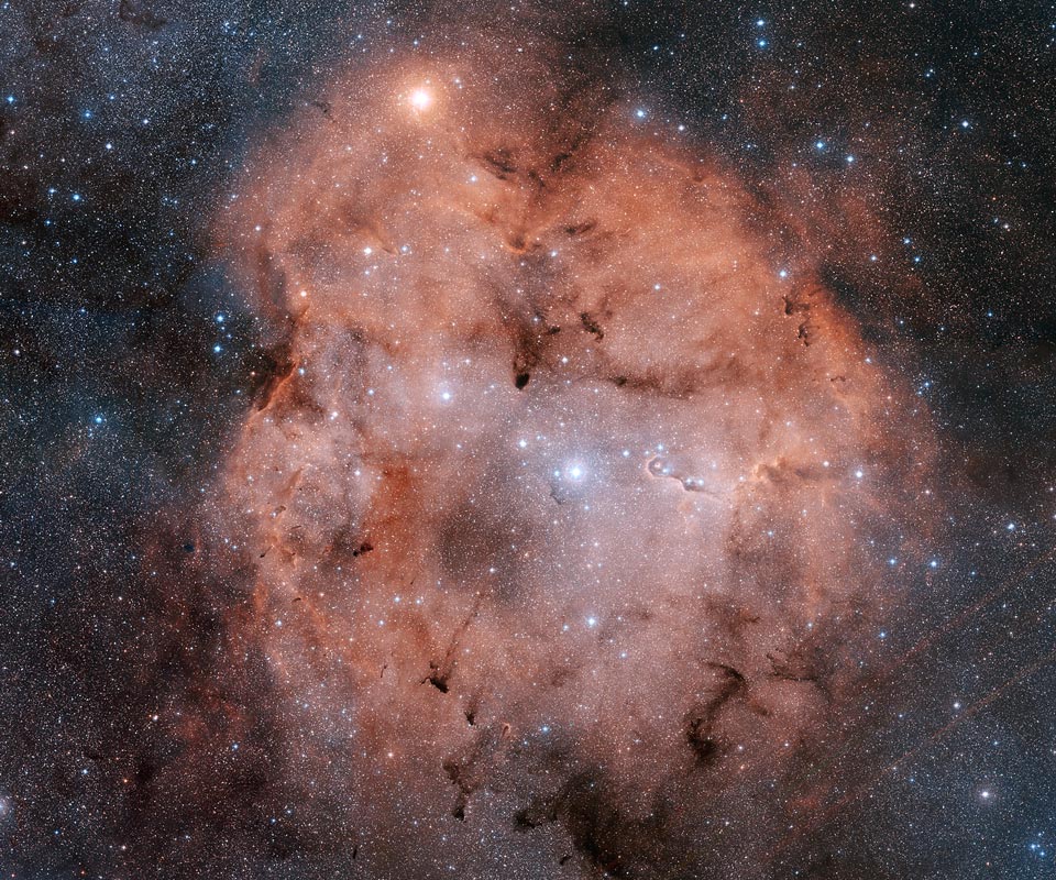 Кадр Дня: эмиссионная туманность IC 1396