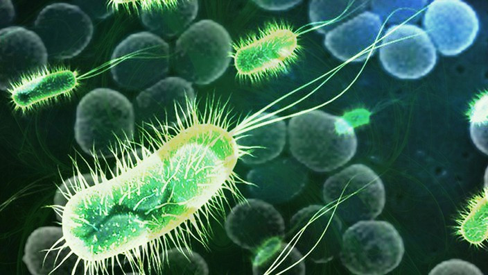 Человеческие бактерии производят электричество