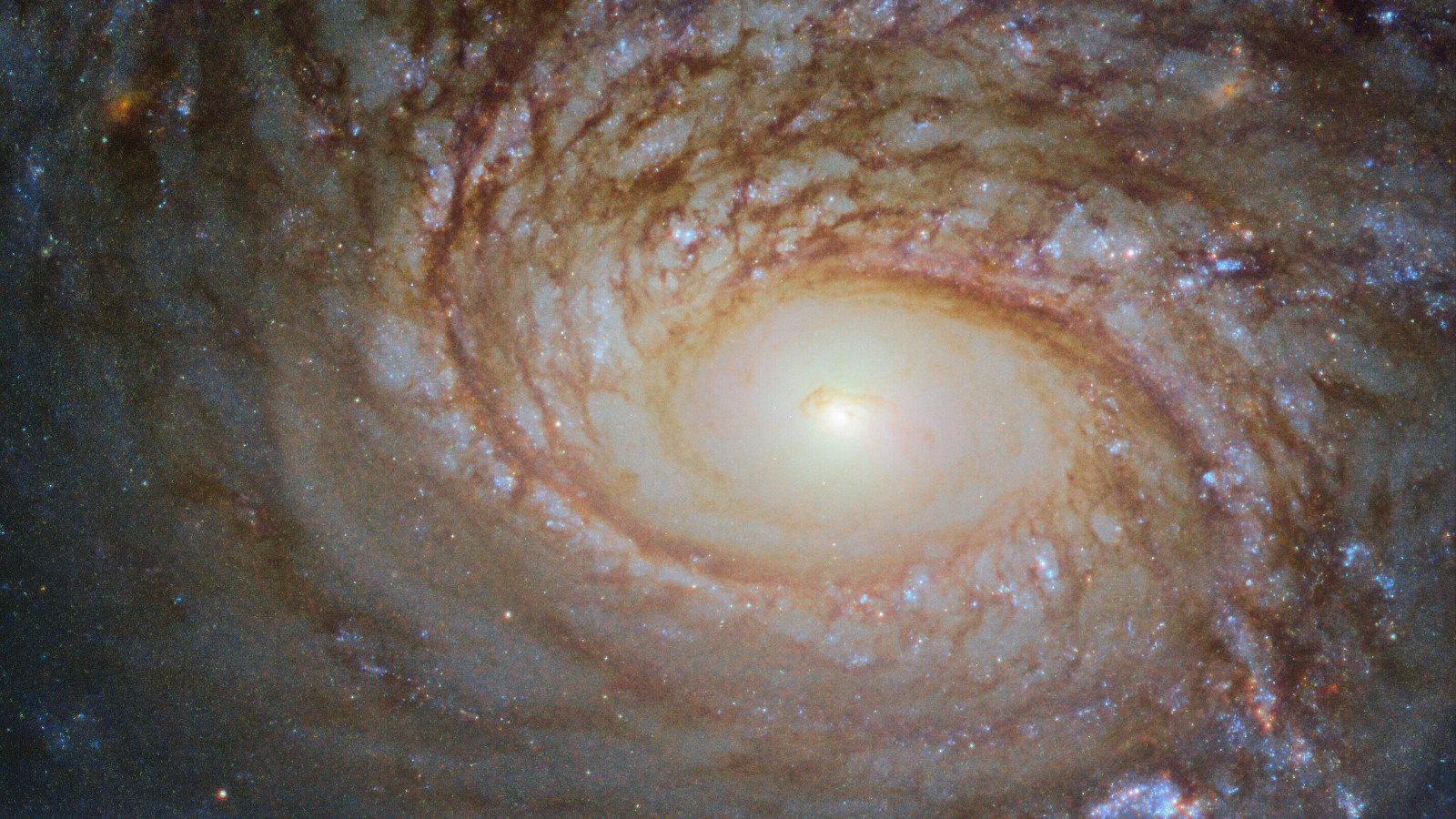 Хаббл заметил любопытную спиральную галактику