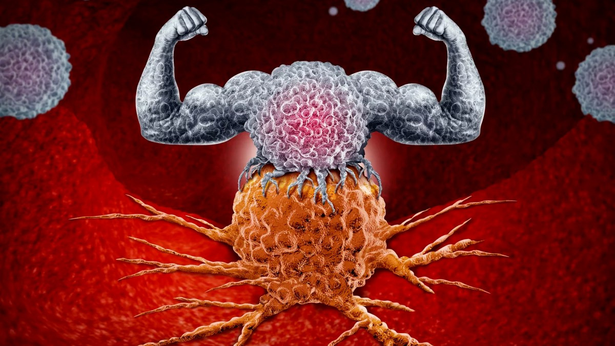 Клинические испытания иммунотерапии рака обнадеживают